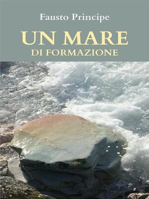 cover image of Un mare di formazione